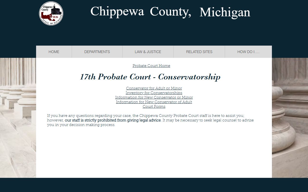 Chippewa County probate records conservatorship filing page