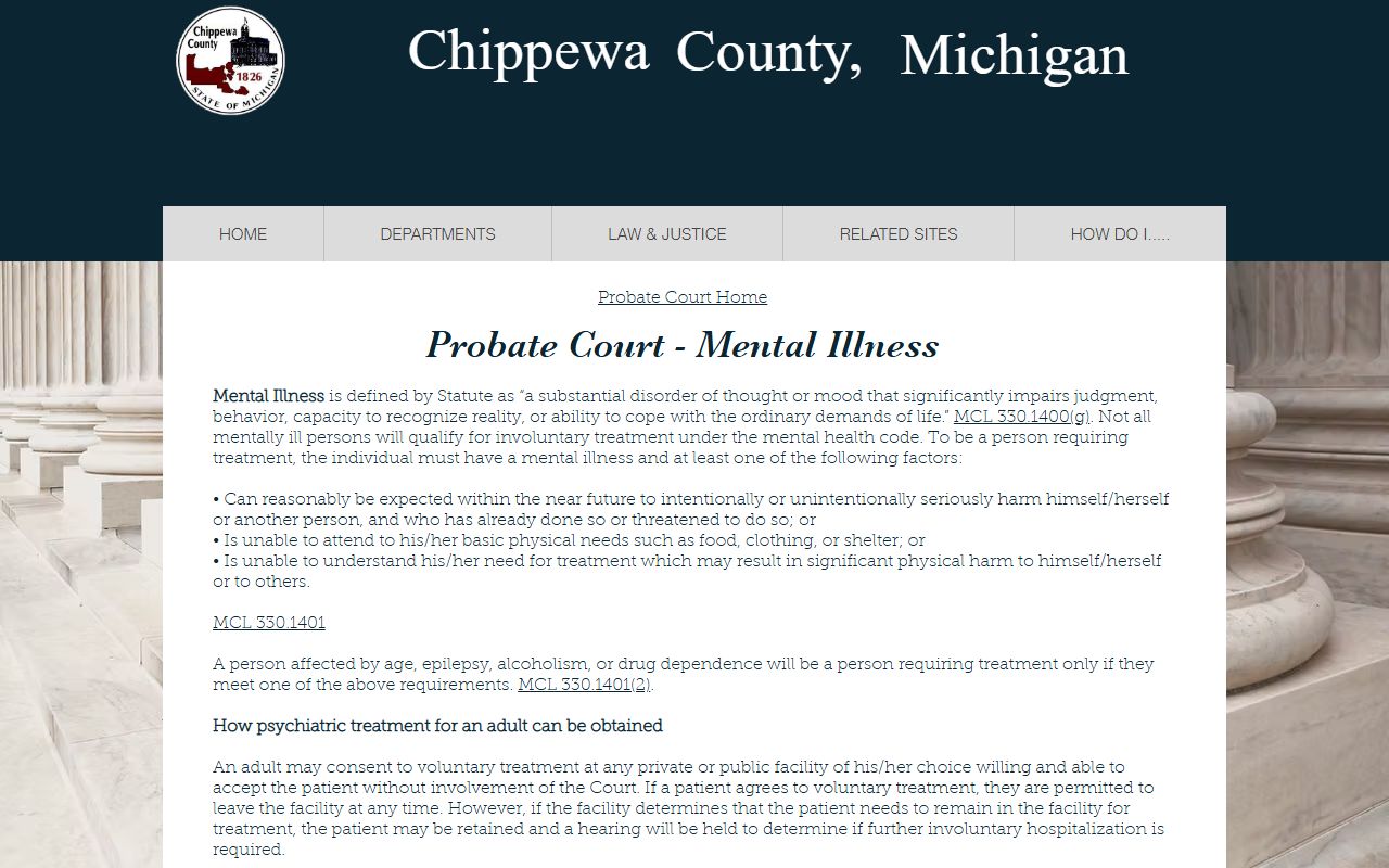 Chippewa County probate records mental illness petition page